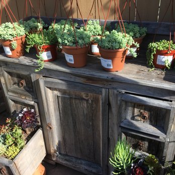 Armstrong Garden Centers - Nurseries & Gardening Near Me - Long Beach, California Armstrong Garden Centers - Nurseries & Gardening Near Me - Long Beach, California