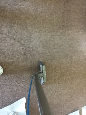 SOUTHERN CALIFORNIA CARPET CLEANING - Updated January 2025 - 29 Reviews