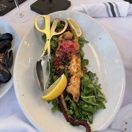 Grilled Octopus