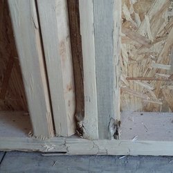 Weston Homes - Great framing!  :-(