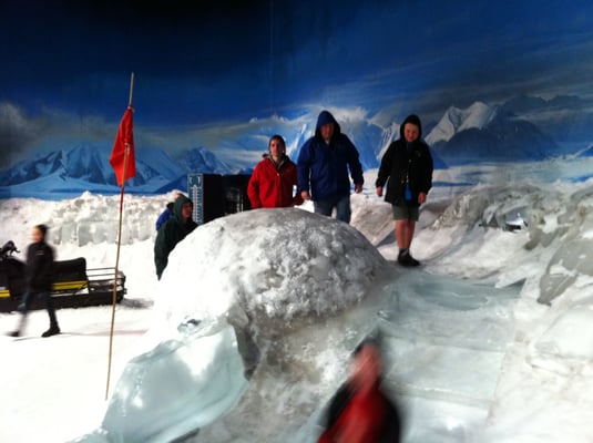 International Antarctic Centre by null