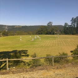 Basket Range Oval - Live cricket action!