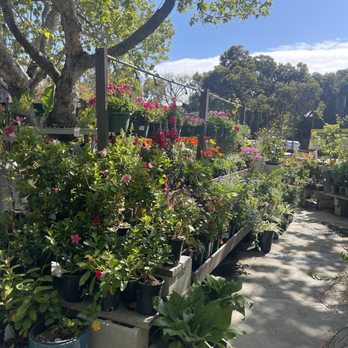 Anawalt's Malibu Hardware & Supply - Hardware Stores Near Me - Malibu, California Anawalt's Malibu Hardware & Supply - Hardware Stores Near Me - Malibu, California