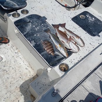 Hookin It Charters and Tours - Fish caught with Captain Jason at hookin it charters - Fishing Near Me - Cedar Key, Florida