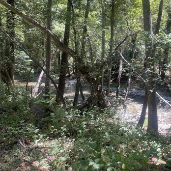 Pfeiffer Big Sur State Park - Creek - Parks Near Me Pfeiffer Big Sur State Park - Creek - Parks Near Me
