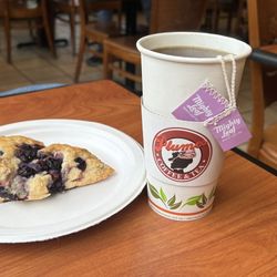 Plumes Coffee House - Blueberry scone and Might Leaf tea