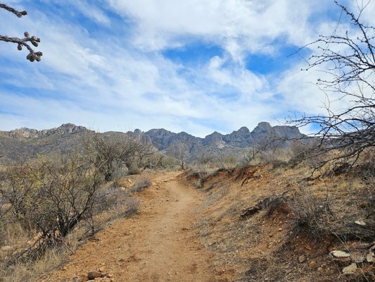 Catalina State Park by null