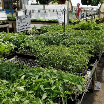 Wing Wong's Nursery - Nurseries & Gardening Near Me - Burnaby, British Columbia