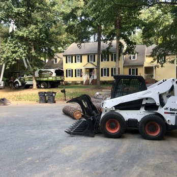 Absolute Tree - Bobcat - Tree Services Near Me