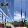 Photo of Transformers Landscaping