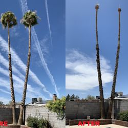 Transformers Landscaping - Yearly trimming, before and after.