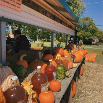 Hawk's Pumpkin Patch - Apple cider - Pumpkin Patches Near Me - Winston-Salem, North Carolina