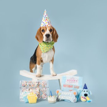 Three Tails Parlor and Pantry - Pet Groomers Near Me - Columbia, Illinois