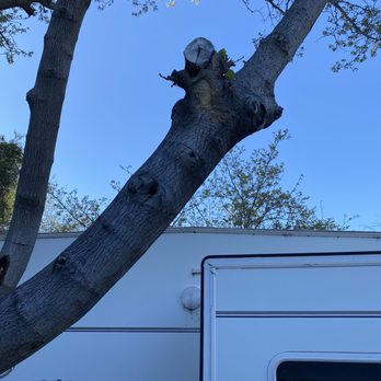 All Seasons RV Park - Fishing Near Me - Escondido, California All Seasons RV Park - Fishing Near Me - Escondido, California