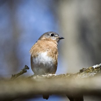 Severson Dells Nature Center - Hiking Near Me - Rockford, Illinois