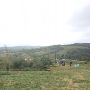 Hollin Farms - Fruits & Veggies Near Me - Delaplane, Virginia