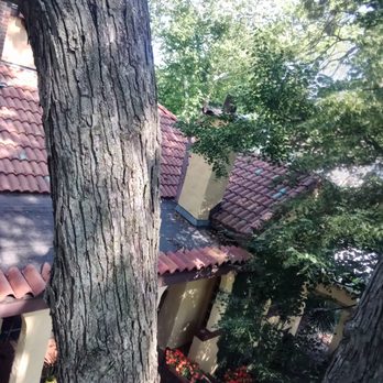 Sizemore Tree Care - Tree Services Near Me