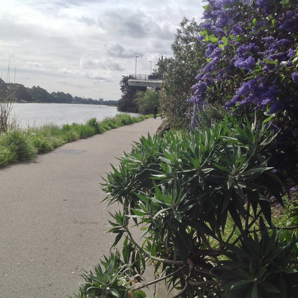 Berkeley Aquatic Park - Parks Near Me - Berkeley, California