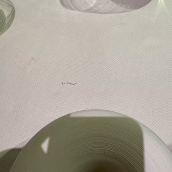 César - A piece of cleaning steel wool found inside the dish - Seafood Near Me - New York, New York