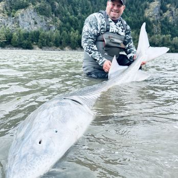 Yves Bisson Sturgeon - Fishing Near Me Yves Bisson Sturgeon - Fishing Near Me