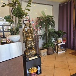 Life Reflexology