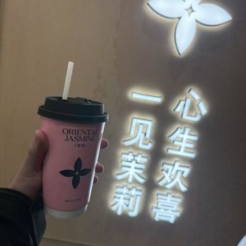 Molly Tea - Bubble Tea Near Me - Boston, Massachusetts