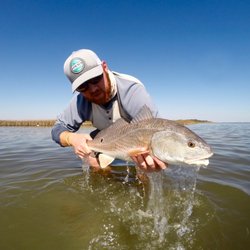 Fly Fish Rockport