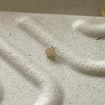 Orange Inn - I small beach pebble that was in my burrito. - Breakfast & Brunch Near Me - Laguna Beach, California Orange Inn - I small beach pebble that was in my burrito. - Breakfast & Brunch Near Me - Laguna Beach, California