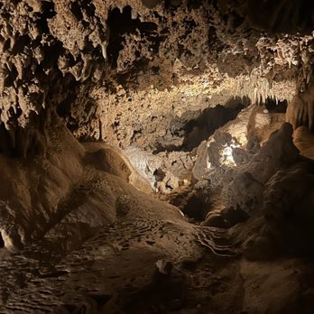 Inner Space Cavern - Tours Near Me - Georgetown, Texas Inner Space Cavern - Tours Near Me - Georgetown, Texas