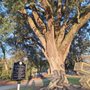 Photo of World War II Living Memorial