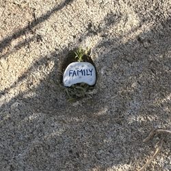 Frandy Park Campground