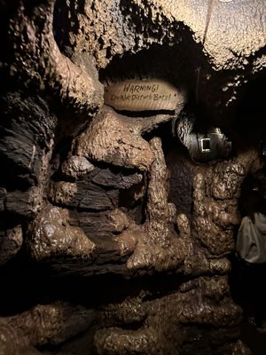 Indiana Jones™ Adventure by null