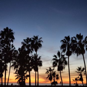 Venice Statepark - Beaches Near Me - Venice, California Venice Statepark - Beaches Near Me - Venice, California