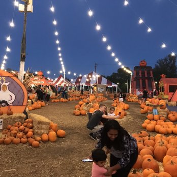 Stu Miller's Pumpkin Patch - So pretty when it's lit up at night.  Every size pumpkin to choose from. - Festivals Near Me - Simi Valley, California