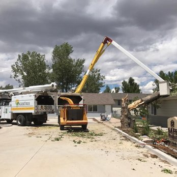 TigerTree - Tree Services Near Me - Greeley, Colorado