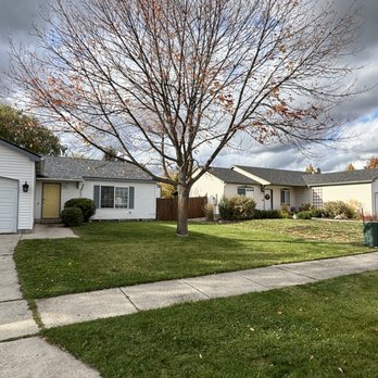 Cedar Ridge Tree Service - Leaf cleanup and light tree trim. - Tree Services Near Me Cedar Ridge Tree Service - Leaf cleanup and light tree trim. - Tree Services Near Me