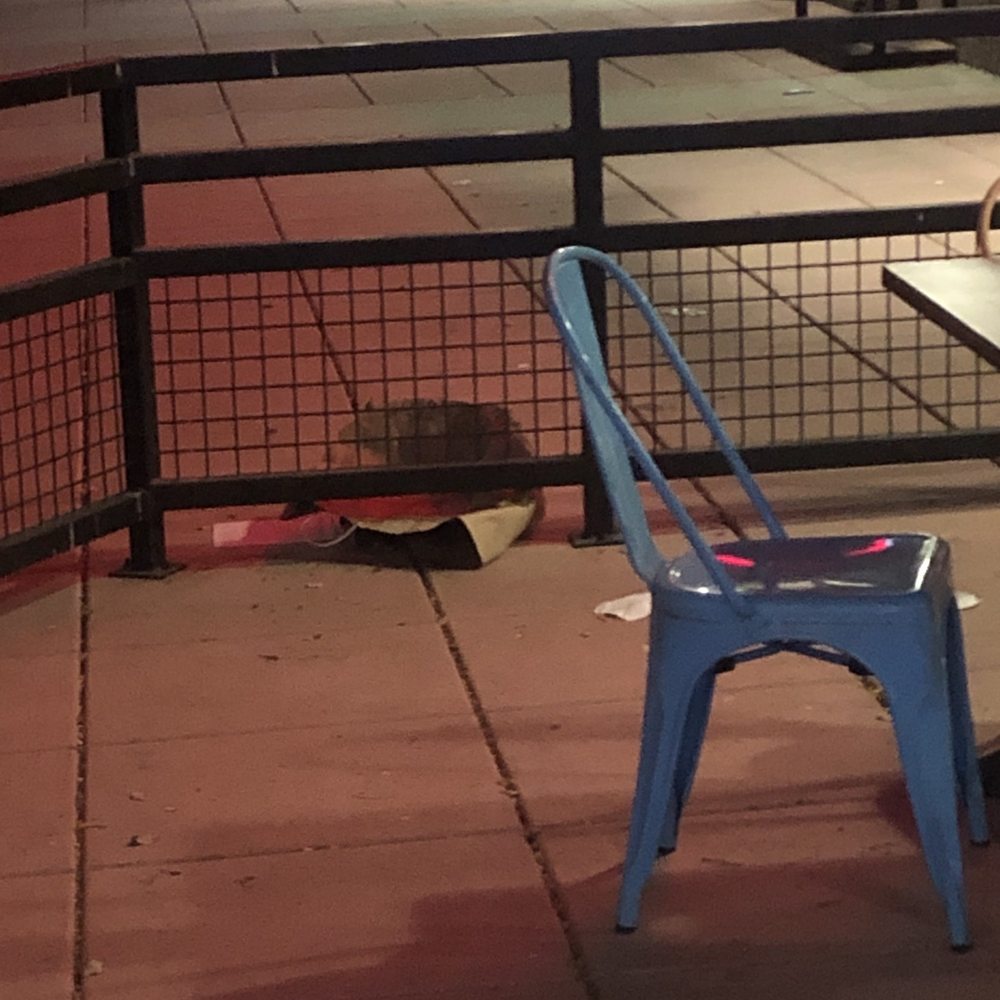 Tacos N More 2 - Trash - Mexican Near Me - Gilbert, Arizona Tacos N More 2 - Trash - Mexican Near Me - Gilbert, Arizona
