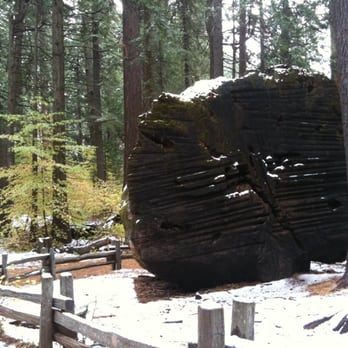 Calaveras Big Trees State Park - Parks Near Me - Arnold, California Calaveras Big Trees State Park - Parks Near Me - Arnold, California