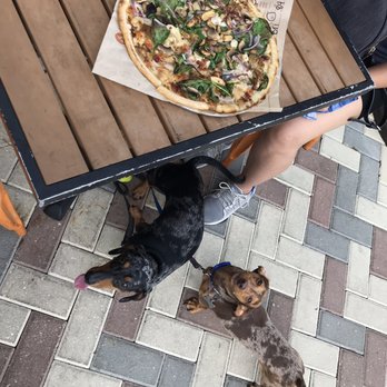 Blaze Pizza - Outside seating for me and the pups - Pizza Near Me - Orlando, Florida Blaze Pizza - Outside seating for me and the pups - Pizza Near Me - Orlando, Florida