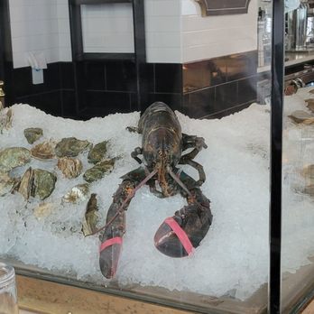 Loch Bar - Philly - Raw Bar - Seafood Near Me - Philadelphia, Pennsylvania