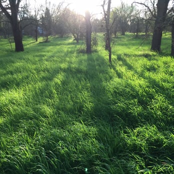 Jan Park - A tiny verdant paradise - Basketball Courts Near Me - Carmichael, California