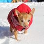 Photo of Sheepshead Bay Veterinary Group