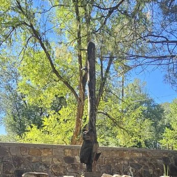 Smokey Bear Historical Park - Parks Near Me - Capitan, New Mexico Smokey Bear Historical Park - Parks Near Me - Capitan, New Mexico