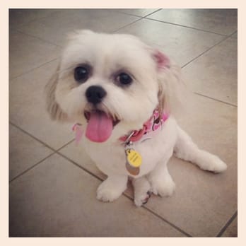 Snooty Pets - Pet Stores Near Me - Las Vegas, Nevada Snooty Pets - Pet Stores Near Me - Las Vegas, Nevada