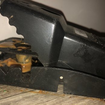 Burns Pest Elimination - Burn's trap - Pest Control Near Me - Phoenix, Arizona