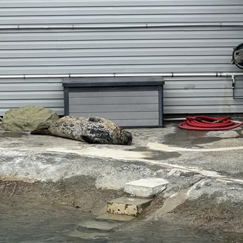 Ocean World - Aquariums Near Me - Crescent City, California