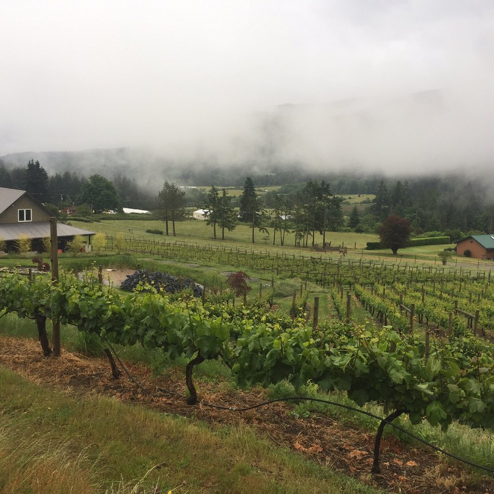 Garry Oaks Winery - Wineries Near Me - Salt Spring Island, British Columbia Garry Oaks Winery - Wineries Near Me - Salt Spring Island, British Columbia