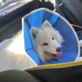 SAGE Veterinary Centers - Concord - Veterinarians Near Me - Concord, California