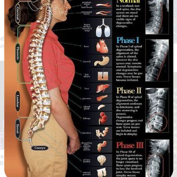 Rotuna Chiropractic - Older poster... How we age is up to US !!! Prevention is key ! - Chiropractors Near Me - Fullerton, California