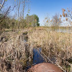 Oakhurst Forest Preserve